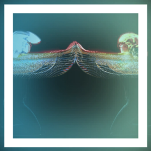 0602 annunna neonlight bg